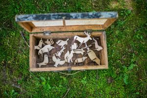 Mystery box - Forest treasures