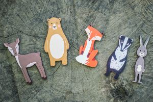 Wooden magnet - Foxy set of 5