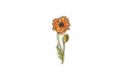 Icelandic Poppy Brooch