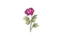 Peony Brooch