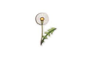 Dandelion Brooch