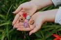 Icelandic Poppy Bloom Brooch