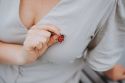 Wooden brooch Ladybird 