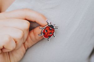 Wooden brooch Ladybird 