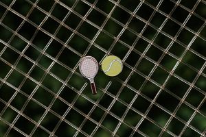 Wooden Earrings Tennis 